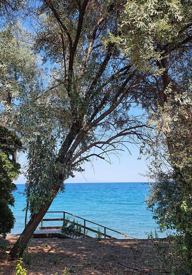 Villa Al-Ari Diakopto Exterior foto